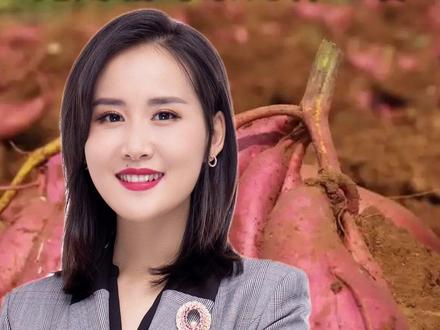 云南黑心农户为省钱,竟用剧毒农药种红薯!#饮食健康 #食品安全 #社会