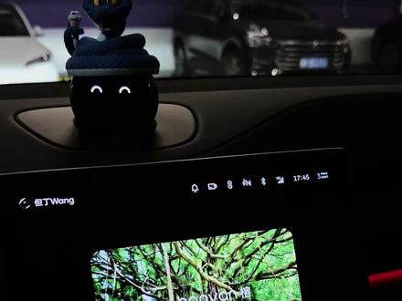 教你玩转蔚来最新Banyan3.3.0系统!
#智能驾驶 #蔚来 #蔚来es6 #蔚来世界大模型 #系统更新