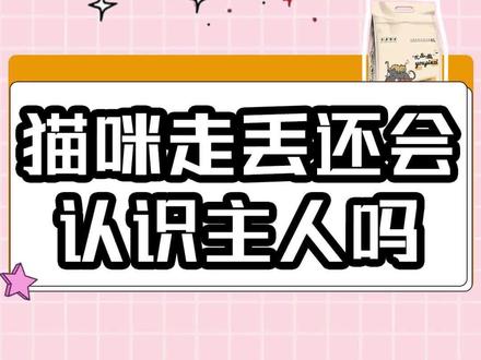 猫咪走丢后还会认识主人吗?猫咪忘记主人需要多久#实用养猫技巧 #萌宠猫咪 #猫粮 #宠物用品 #科学养宠