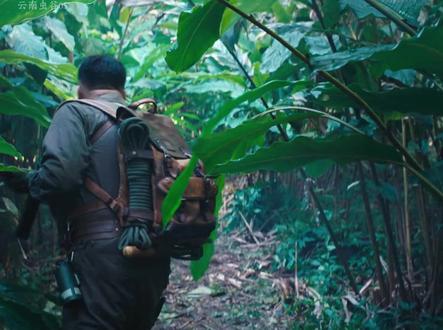 王胖子在虫谷遇到跳舞草,揭开献王墓的陨石机关,胡八一发现山神庙,里面有一个神秘尸骨,他的身份居然和雪莉杨有关系。#盗墓 #好剧 #电视剧解说 #因为一个片段追了整个剧