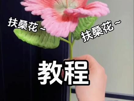 超简单清新的扭扭棒扶桑花详细教程来啦!
扶桑花又称朱槿花 “左耳扶桑是为追爱,右耳扶桑已有爱人 ”#扭扭棒#我的手工作品 #扭扭棒手工花朵#扭扭棒扶桑花 #扶桑花@抖音创作小助手 @DOU+小助手 @DOU+上热门