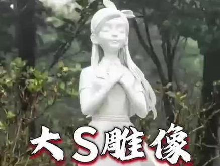 310万造大S雕像却全网认不出,所谓的深情纪念,不过是借逝者立人设的私心罢了!#大S #具俊晔 #情感共鸣#讨论 #人物故事