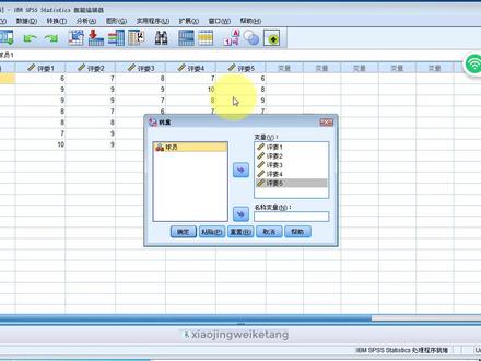 IBM SPSS 3.2 数据转置 #办公软件技巧 #spss