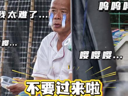 超火的莫氏鸡煲,快坐上火车来品尝吧 #莫氏鸡煲 #广东顺德