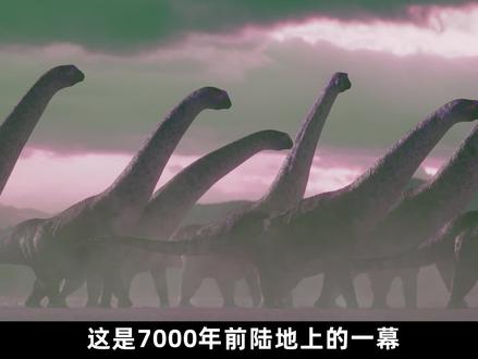 六千万年前,泰坦巨龙的相亲现场 #记录片 #恐龙