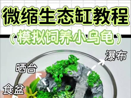 用粘土微缩生态缸模拟饲养小乌龟|附教程
这只小龟有名字,它叫Paun,是我最喜欢的小龟。
20年前它就离开了我,只留下了几张模糊的和它一起拍的大头贴合影,还有空空的鱼缸。
好多年后,玩旅行青蛙让我突然想起了它,青蛙的家不大却五脏俱全:一楼有有餐厅、衣帽间,二楼有书房、卧室。小小的住处还是个跃层,太可爱了!如果我的Paun还在的话,一定也给它设计一个兼具晒背区、游泳区、躲避区的生态缸,还要有瀑布、花草的装点。
小时候我总会带着Paun到处玩,春游、坐火车、爬山……希望彼此陪伴的同时也让它有不同于其他龟的体验。只是长大后我才意识到一只龟的快乐也许只需要吃好睡好,不生病有主人安静的陪伴,以及成都终于出太阳了可以伸伸腿晒晒背,足矣。而非小时候把自以为的对它好强加在其身上。有了这样的结论后,我渐渐可以站在其他人的角度去理解他们的行为和选择,同时也更谨慎自己的行为避免无意干涉或伤害了他人。
这是一期中元节手工,选择宠物为题材是不想话题太沉重。人们常说“应该珍惜所拥有的”,但如何才算珍惜呢?我的答案是:尊重和看见。
不论“你”当下在哪一个世界里,愿吃好睡好,像小龟一样放松地伸伸腿扭扭脖子,沐浴温暖的阳光,度过平安健康的一天又一天····
Paun,记得在梦里给我寄回你的旅行照片。
#模拟养宠物 #微缩场景模型 #微缩鱼缸 #微缩粘土教程 #解压治愈视频