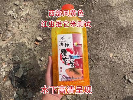 西部风黄色红虫味型维它米效果果然不一般#饵料窝料 #酒米打窝 #饵料测试 #窝料饵料 #饵料测评