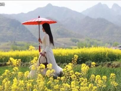 终南山5万修炼者快跑光了,全是看破红尘的?当地居民:全是假的 #景点打卡 #记录 #科普