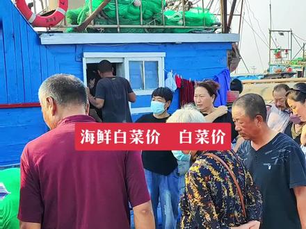 黑沿子码头海鲜真便宜啊!!都是刚下船的#海鲜当然是现捞的最新鲜 #渔民生活实拍 #海鲜市场