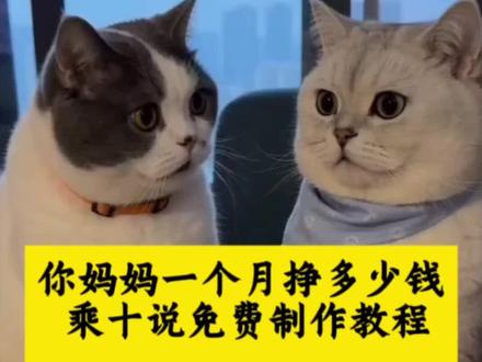 你妈妈一个月赚多少钱诚实说ai特效教程 乘十说 AI猫咪薪资谎言 猫咪 瓦猫喜剧 小猫ai 猫狗吐槽主人ai 猫咪乘十说搞笑视频 宠物AI互动 #ai猫咪工资的谎言 #两只猫对话ai视频制作 萌宝的工资谎言 ai视频 ai宠物 ai猫剧情 猫咪打工ai 猫猫可爱视频 鹦鹉ai 宠物猫趣味对话 ai两只猫咪对话 ai动物对话 狗对话ai AI宠物搞笑视频 宠物AI新玩法 你妈妈一个月工资几千块 说妈妈工资原视频 ai宠物视频制作 ai萌宝工资谎言怎么拍 #即梦AI #AI分身戏精大赛 #我的AI分身杀疯了
