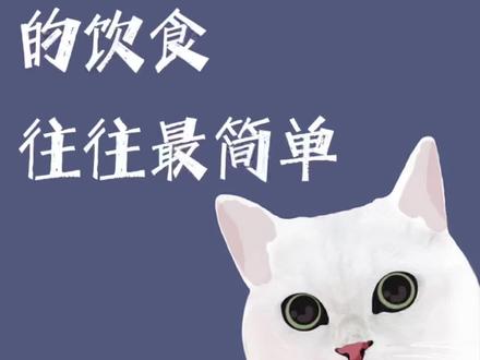 猫咪最科学的饮食方式…#养猫进阶指南