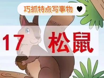 五上《17松鼠》的写作方法是什么呢?一起来学习吧#教育 #小学语文 #一分钟小课堂 #知识分享 #涨知识 #干货教学 #创作灵感