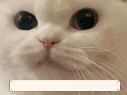 好好好,杨幂和沈梦辰这对姐妹花,能不能再同框一次啊!#明星##白月光入夏神器#迷奇美白肌底液#美白精华