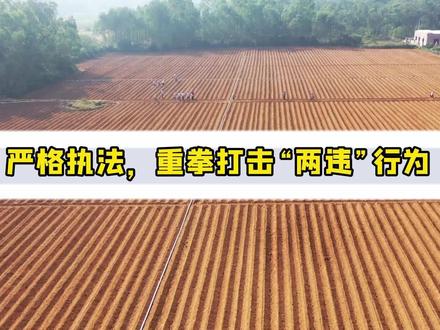 严格执法,重拳打击“两违”行为