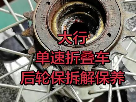 大行单速折叠车后轮拆解保养#自行车维修 #自行车维修保养 #自行车日常保养 #自行车保养