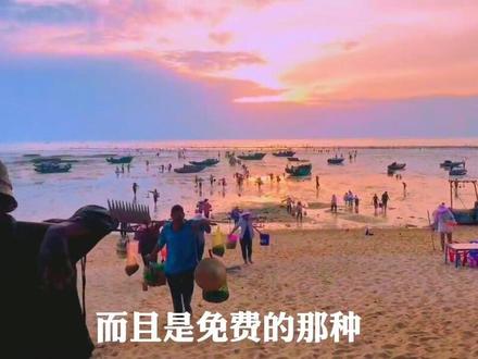#广东赶海攻略广东赶海攻略,距离湛江市区一个多小时,湛江草潭杨青寮海边,一个可以免费赶海的地方,非常适合暑假带小朋友过来玩#广东海边旅游景点 #广东赶海地方推荐 #新农人2023官方流量扶持#大自然的馈赠
