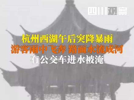 7月12日,杭州。#西湖突降暴雨路面水流成河 有公交进水被淹。据杭州市气象台消息,最大雨量出现西湖区玉皇山站,达到86.5毫米。