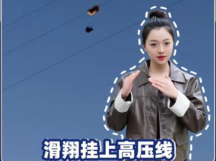 【急急急#玩滑翔伞被挂在90米高空 】#滑翔挂上高压线停电损失谁来担 广东深圳的陈女士在体验滑翔伞运动时,连伞带人挂在了高压线上。可谁成想,这一波未平一波又起,为了救陈女士下来,供电公司临时停电,一家养殖基地也被牵连进了这场意外。养殖户白先生家池塘里的鱼,由于停电无法供氧,全部都死了。看着自己辛辛苦苦养的鱼个个肚皮朝上,白先生这是又心疼又着急,把陈女士、滑翔伞公司以及供电公司一起告上法庭。更多内容,请关注@央视法治在线 ,CCTV-13 12:34同步直播。