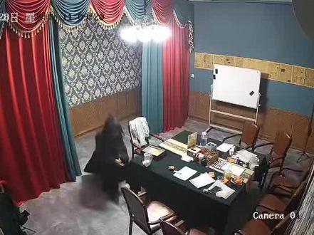 追逐 电棒 单搜 全黑 就这个恐怖本爽#铃兰女校 #监控下的一幕