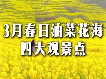 两汉三国,最后汉中,3月份一定要到汉中看看最美油菜花花海#汉中 #油菜花 #汉中旅游 #抖音助手