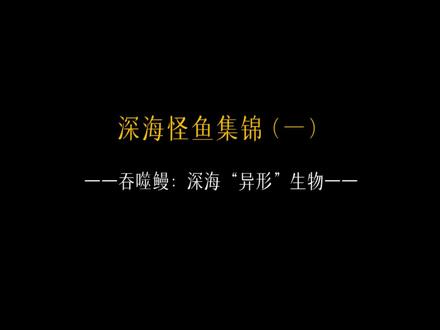 吞噬鳗也叫宽咽鱼,长得像电影里的外星异形,恐怖的大嘴能够吞下比自己大10倍的动物。#吞噬鳗 #科普 #海洋生物 #奇闻奇事 #科普海洋 #长沙海底世界