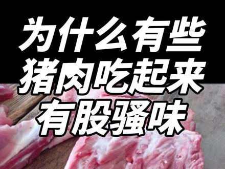 猪肉骚味一闻就yue?#猪肉 #知识分享 #美食