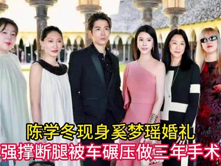 陈学冬现身奚梦瑶婚礼!面部肿胀、强撑断腿,被车碾压做三年手术 #精选计划