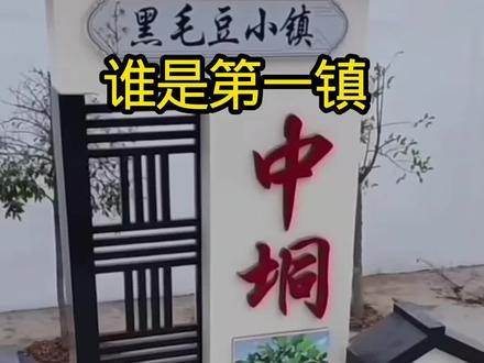 中垌镇与平定镇,谁才是第一镇呢?#化州 #化州橘红