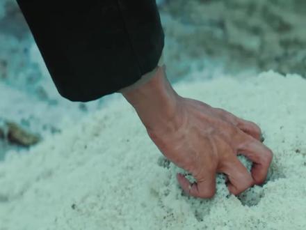 生命树:母亲发现亲儿子白椿爱上白菊,把他送进部队斩断这份情愫