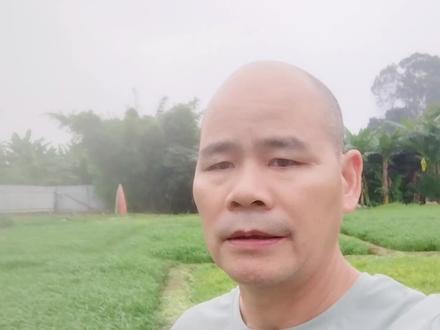 老表为什么种那么多年的空心菜!大家看到他的菜地就知道了