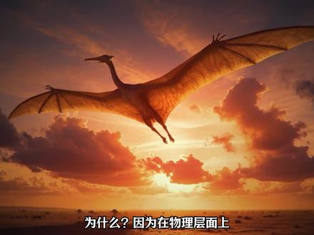 但为什么跟他体重相近的风神翼龙却可以飞起来?这难道不是很神奇吗?难道真的有存在违背物理学的生物存在?但更确切的说法是风神翼龙为什么会存在一种人类无法复刻的空气动力学。为什么?#科普 #动物科普 #古生物 #风神翼龙 #恐龙