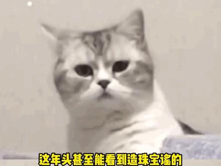 这年头甚至能看到造珠宝谣的 #离谱 #牢A #梵克雅宝 #造谣 #女性