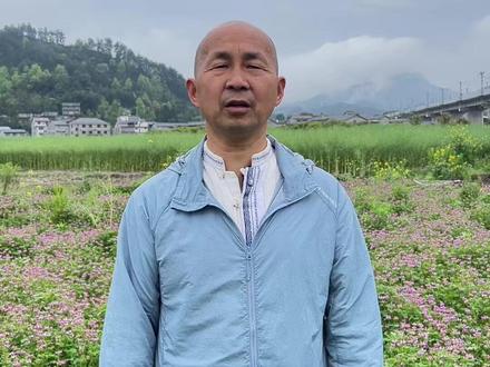 土著农耕养地二十四招,第一招紫云英压青!#有机农业 #生态农业 #水稻 #三农 #童米家