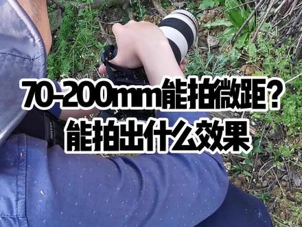 长焦头可以变微距头?效果还不错……#微距