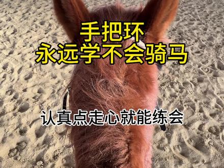 手把环学永远不会骑马,很严重的限制身体运动,和马没有契合度。放蹦子的时候人完全是被动的#马术日常 #人马 #怎么骑马 #野骑野外骑马怎么在家练 #骑马
