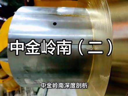 中金岭南。深挖盈利点。#铜价上涨对业绩影响#资本配置#金融知识分享 #理财投资