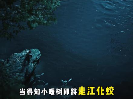 剑来:得知小暖树即将走江化蛟,众人都有何反应? #剑来 #陈暖树 #陈平安 #国漫