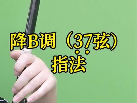 #零基础学二胡 #拉二胡 #手把手教学 降B调 指法讲解
