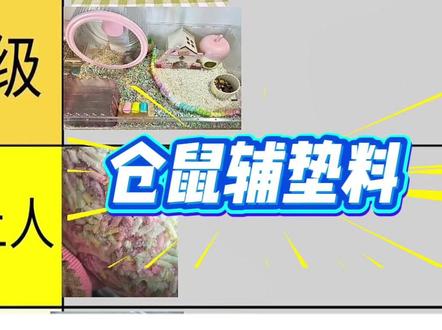 锐评仓鼠辅助垫料,来看看有没有你用的吧! #仓鼠 #仓鼠宝宝的日常 #养鼠日常分享 #仓鼠垫料 #金丝熊