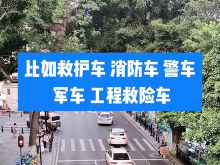 哪些车在广州不限行? #广州新车上牌 #广州早晚高峰