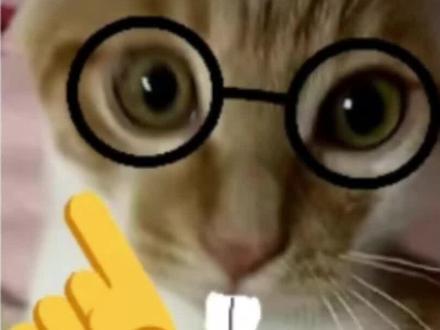 马钞是啥,到底咋约?跟你聊聊2026年第一桶金#马钞 #马超预约 #备战马钞 #马钞预约教程