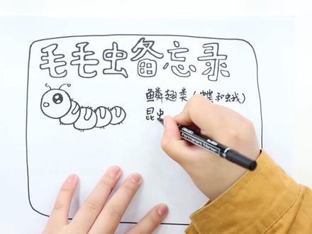 毛毛虫的昆虫备忘录怎么画