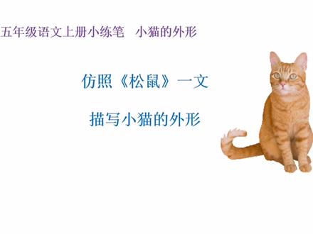 五年级语文上册小练笔,仿照《松鼠》一文,写小猫的外形 #小学语文 #小练笔范文 #小学作文 #快乐学习快乐成长 #知识点总结