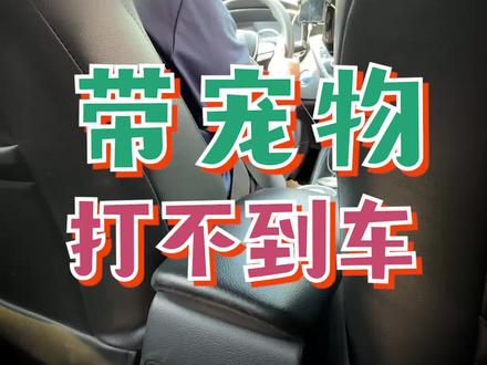 以后带狗打车可方便了….