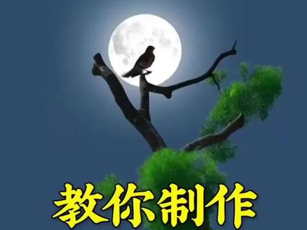 教你制作踢毽子视频,收藏试试吧#手机剪辑 #剪辑教程 #教程 #抖音小助手 #DOU