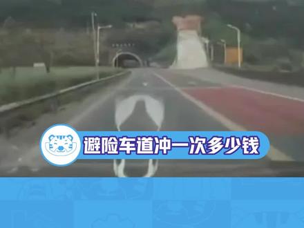 避险车道冲一次多少钱#安全出行 #每天一个用车知识 #带你懂车 #涨知识