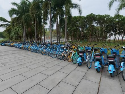 河边的共享怎么都被锁了?