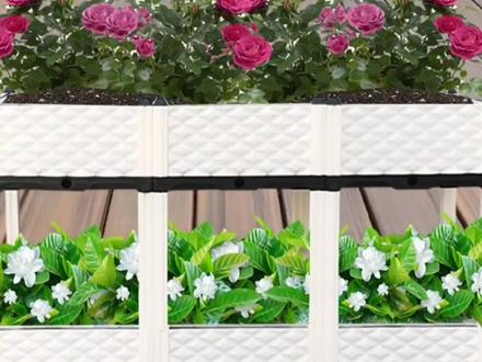 阳台地面变立体菜园,教你如何把家里阳台变菜园 #阳台种菜 #立体种菜架 #dou+小助手