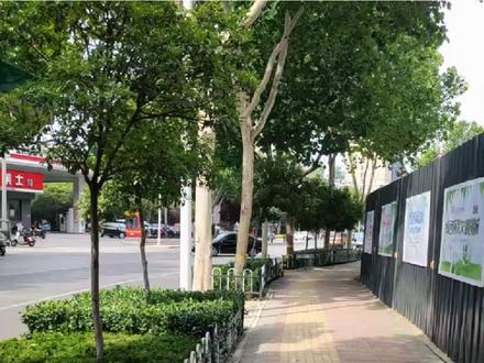 在国内换新币免手续费,还去什么国外换?!建议提前国内换。。别告诉别人。。省几百!