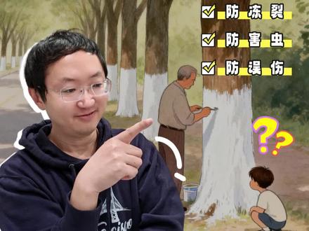 你留意过吗?冬天的树干,总是穿上了白色的“新衣”。这可不是为了好看,而是树木越冬的“科学铠甲”!
里面藏着三个孩子一定会好奇的科普知识:
1️⃣ 防冻裂:像给树涂了“防晒霜”,反射阳光,防止昼夜温差大导致树干开裂。
2️⃣ 防虫害:涂层里的石灰和硫磺,是天然的“杀虫药”,能赶走藏在树皮里过冬的害虫。
3️⃣ 防误伤:白色的树干在冬天更显眼,提醒行人和车辆注意避让。
#育儿 #家庭教育